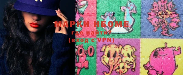 прущие грибы Аркадак
