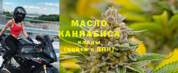 прущие грибы Аркадак