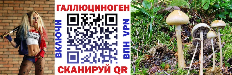 Галлюциногенные грибы ЛСД  Купить закладки  Кореновск 